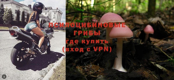 ALPHA PVP Покровск